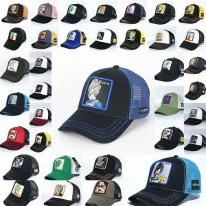 זורם ברשת  דרגון בול מבחר כובעים
