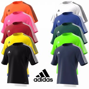 חולצות ספורט במבחר צבעים ממידה S עד XXL